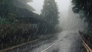 Maravilloso Sonido de Lluvia para Dormir Relajante Estudio Meditación  Lluvia en Bosque Brumoso [upl. by Leahsim306]