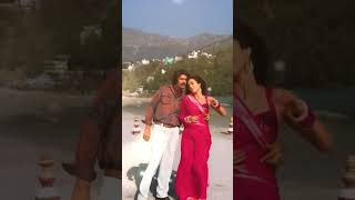 Tumhe apnaa banane ki Kasam  Vicky vidya ka woh wala video  vijay Raj  Mallika Sherawat  Kumar S [upl. by Merriam106]