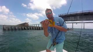 Florida Keys Fishing Seven Mile Bridge Snapper [upl. by Rebna401]