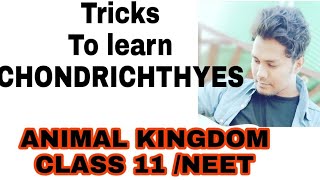 Tricks to learn the examples of CHONDRICHTHYES NCERT CLASS 11 ANIMAL KINGDOM IMP FOR NEET [upl. by French]