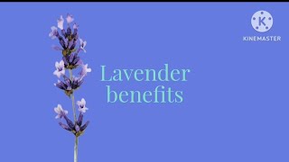 The nature medicine🌱 the lavender🌿the beautiful herb💚 [upl. by Baer544]