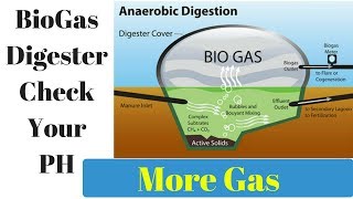 How To Test Biogas Digester PH Easy Fix  New Off Grid Home [upl. by Dawn]