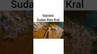 Film AQUAMAN VE KAYİP KRALLIK [upl. by Idet]