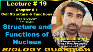 Structure and Functions of Nucleus  Chromosomes  Nucleolus Lecture 19 Ch 1 NBF Biology11 [upl. by Siloum]