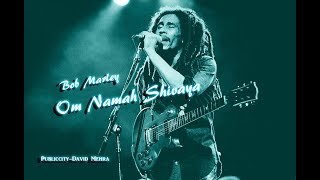 Om Namah Shivaya  Tribute to Bob Marley  Song By Krishna Das [upl. by Ahsilem]