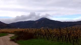 De Colmar à Sélestat à VTT en hors piste 22 Octobre 2024 Vidéos By Philippe Stocker Trialvideos [upl. by Rollin]