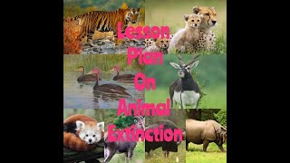 LESSON PLAN ON ANIMAL EXTINCTION AND ENDANGERED PRIMARY LESSON PLAN [upl. by Anitra]