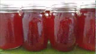 High Bush Cranberry Jelly [upl. by Stevana]