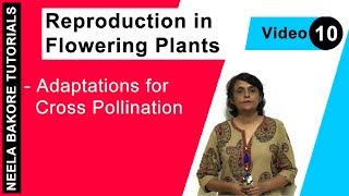 Reproduction in Flowering Plants  NEET  Adaptations for Cross Pollination  Neela Bakore Tutorials [upl. by Yrolam]