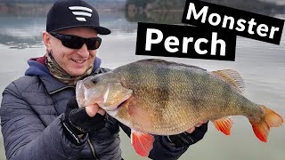 Monster Perch Fishing with Lures  Part 1 2019 [upl. by Aneala751]