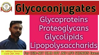 Glycoconjugates Basic concept GlycoproteinsGlycolipidsProteoglycans By Keystone Life sciences [upl. by Abehsat585]