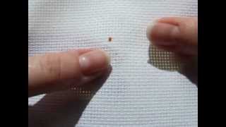 How to Make a French Knot [upl. by Madalena]