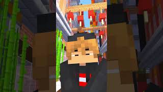 SCUZE Dar Am o IUBITA SUBSCRIBE minecraft funny shorts [upl. by Anastase]