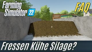 Fressen Kühe Silage LS22 FAQ Einsteiger [upl. by Tteve]