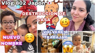 🇯🇵 Volvería al TRABAJO😫 Su nuevo APODO😅 Destruccion de Casa 😫Buenas COMPRAS 😌 Dias ocupados [upl. by Rosena]