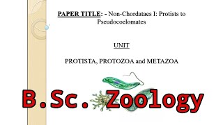 Lec 1  Non Chordate  Protista Protozoa Metazoa  Major Paper  Zoology  BSc 1st semester  UGC [upl. by Karb]