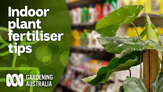 What fertiliser is best for indoor plants  Indoor Plants  Gardening Australia [upl. by Arbmahs]