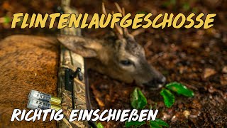 Geartester  Flintenlaufgeschosse Test  Teil 1 [upl. by Tasia629]