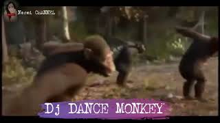 Dj DANCE MONKEY NO COPYRIGHT [upl. by Llehcear]