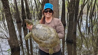 Cooking A Soft Shell Turtle quotTURTLE ON A STICKquot Korean BBQ Style Homemade Recipe CleanCook [upl. by Eahsed]