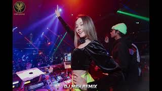 We Tested TikTok Remixes in Real Nightclubs [upl. by Enimisaj]