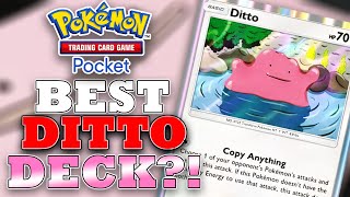 Is THIS the BEST DITTO DECK  Pokemon TCG Pocket [upl. by Nosidam]