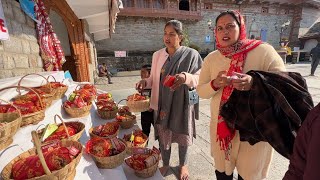 Bhimakali Temple Himachal Pradesh  UP Vlogger Babli [upl. by Attelocin693]