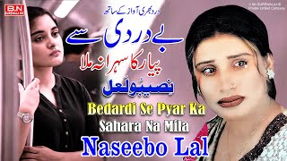 Bedardi Se Pyar Ka Sahara Na Mila  Naseebo Lal New Sad Song 2024  BN BUREWALA HD [upl. by Tallulah]