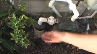 Bore water tapping into the water under our homes [upl. by Nolek]