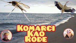 Komarci kao rode [upl. by Etnoel]