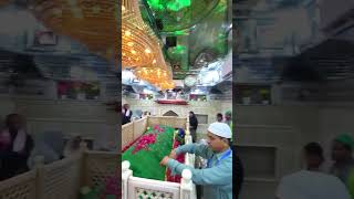 newqawwali sabirpiya love yt sabirpiyaqawwali ur kaliyarsarif shorts ajmerdargah trending [upl. by Aneerahs76]