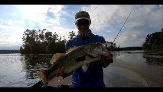 Frog Fishing on Lake Guntersville [upl. by Gorski386]