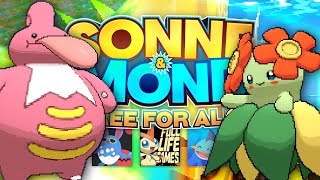 Pokémon Sonne amp Mond FFA  31  Überall ZAttacken [upl. by Nosmirc360]