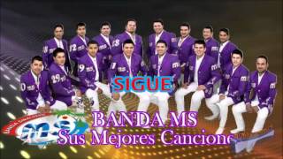 Banda MS Sigue 2013 [upl. by Jehiah]