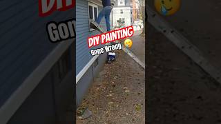 Up On A Ladder DIY Painting Gone Wrong 🥲 shorts [upl. by Engvall]