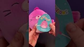 Squishmallow ScentedSquishmallows BlindBox MysteryUnboxing SquishmallowCollection [upl. by Camila962]