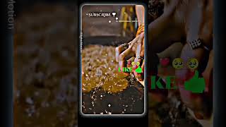 Happy chhath pooja  chhath puja stat video status happychhathpuja chhath aarti shorts ytviral [upl. by Euqirat903]