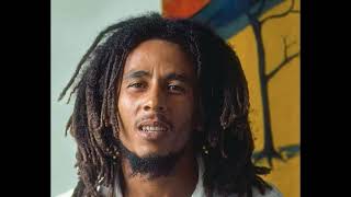 Bob Marley amp The Wailers  Rastaman Live Up single [upl. by Une1]