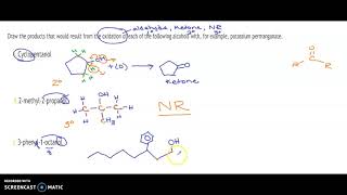 oxidation of alcohols practice problems [upl. by Annoled]