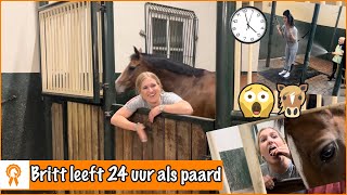 24 UUR LEVEN ALS PAARD Challenge  PaardenpraatTV [upl. by Enovaj112]