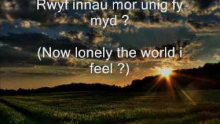 CELTIC LOVE SONG Welsh song [upl. by Zales]