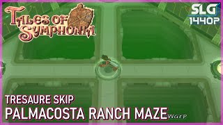 Tales Of Symphonia  Palmacosta Radar Maze Guide Treasure Skip 60fps 25K [upl. by Lexie]