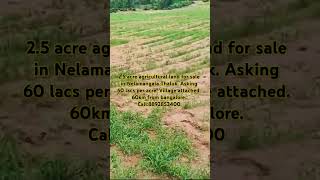 25 acre agricultural land for sale60 lacs per acre in DabaspetSompura Hobli Nelamangala [upl. by Lulita]