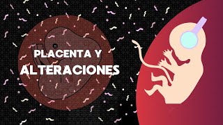 Placenta y alteraciones [upl. by Anni]