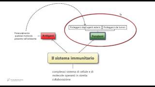 56  Sistema immunitario Riassunto e schema per il test di medicina [upl. by Bara]