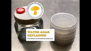 Water Agar Explained Mycological applications of water agar [upl. by Aelram]