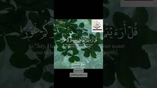 quotSurah MulkRaad Mohammad Al Kurdi’s Beautiful Recitation  Must ListenquotSurahMulkQuranRecitation [upl. by Abbotsun]