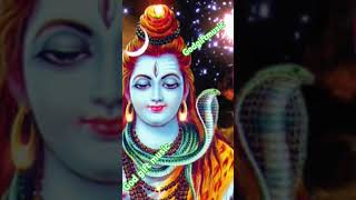 Nagendra haraya trilochanaya song 🙏🌺🙏 [upl. by Niamor]