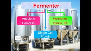 Fermenter Working IGCSE 0610  O level biology 5090 [upl. by Eilagam276]