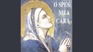 O Spes mea cara [upl. by Acihsay521]